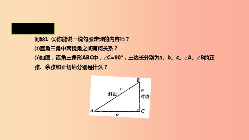 九年级数学下册 第二十八章 锐角三角函数 28.2 解直角三角形及其应用 28.2.1 解直角三角形课件 新人教版.ppt_第2页