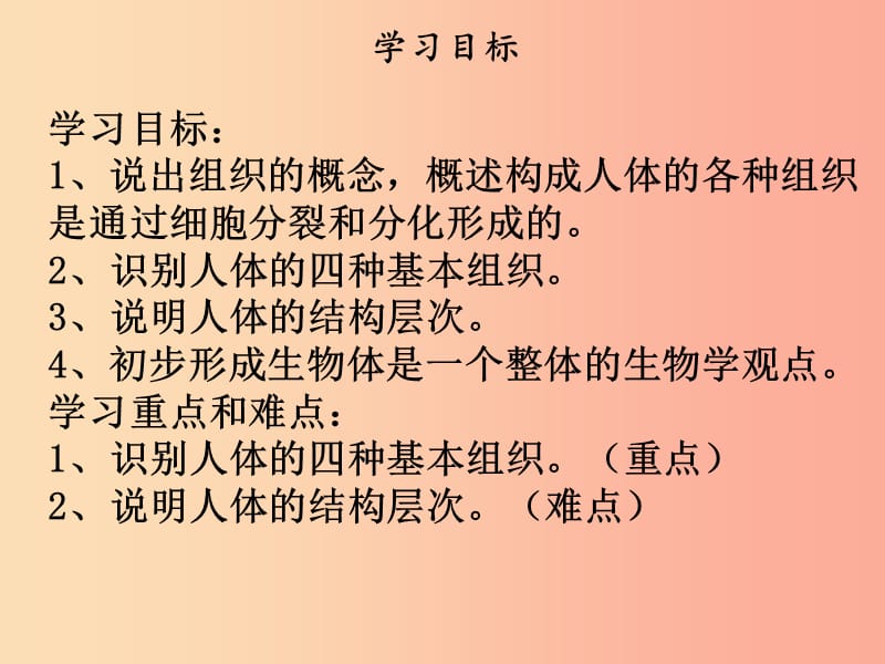 2019年七年级生物上册第二单元第二章第二节动物体的结构层次课件 新人教版.ppt_第2页