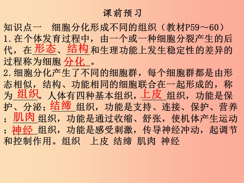 2019年七年级生物上册第二单元第二章第二节动物体的结构层次课件 新人教版.ppt_第3页