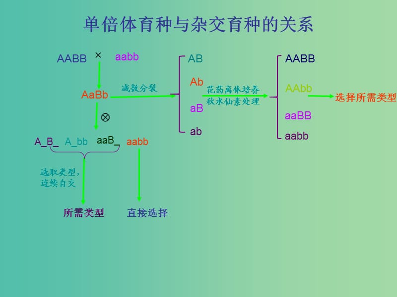 高考生物 高頻考點(diǎn)25 單倍體育種與雜交育種的關(guān)系素材.ppt_第1頁