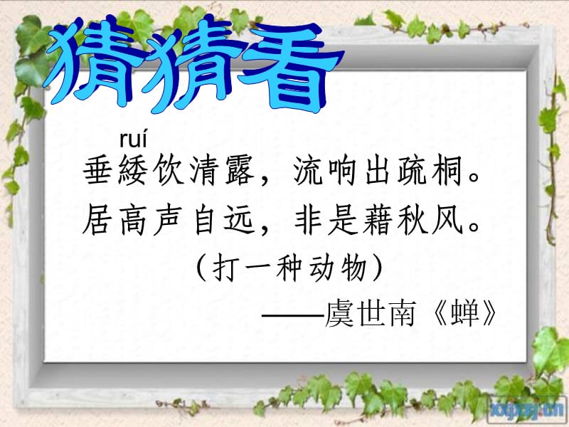 人教版初一语文上册第三课短文两篇蝉贝壳.ppt_第1页