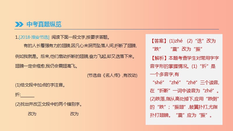 2019年中考语文 专题复习一 积累与运用 专题01 识字与写字课件.ppt_第2页