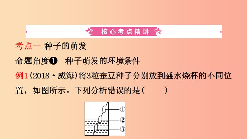 山东省2019年中考生物总复习 第三单元 生物圈中的绿色植物 第二章 被子植物的一生课件.ppt_第2页