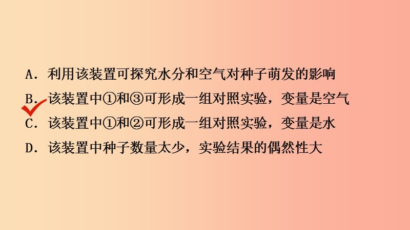 山东省2019年中考生物总复习 第三单元 生物圈中的绿色植物 第二章 被子植物的一生课件.ppt_第3页