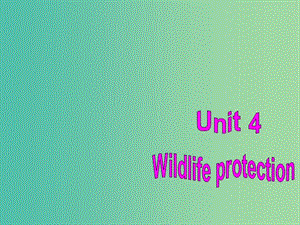 高中英語(yǔ)復(fù)習(xí) Unit 4 Wildlife Protection課件 新人教版必修2.ppt