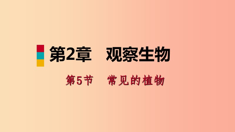 2019年秋七年級(jí)科學(xué)上冊(cè)第2章觀察生物第5節(jié)常見的植物2.5.2孢子植物和植物的分類導(dǎo)學(xué)課件新版浙教版.ppt_第1頁