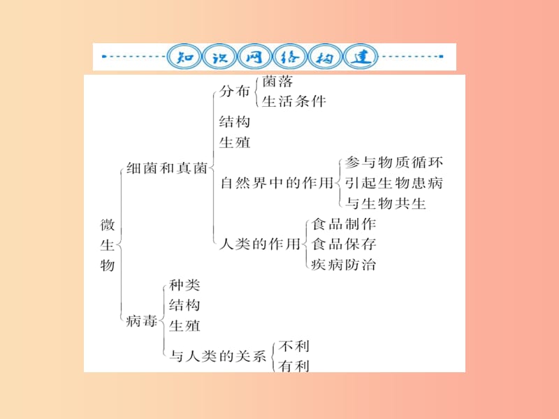 2019年八年级生物上册第五单元第4_5章自主复习习题课件 新人教版.ppt_第2页