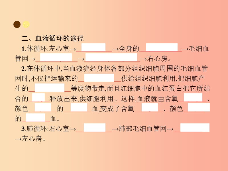 2019年春七年级生物下册第四章人体内物质的运输第三节输送血液的泵_心脏课件 新人教版.ppt_第3页