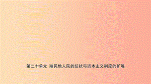 山東省棗莊市2019年中考?xì)v史一輪復(fù)習(xí) 世界史 第二十單元 殖民地人民的反抗與資本主義制度的擴(kuò)展課件.ppt