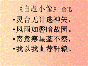 2019年九年級語文上冊第三單元第12課自題小像課件2滬教版五四制.ppt