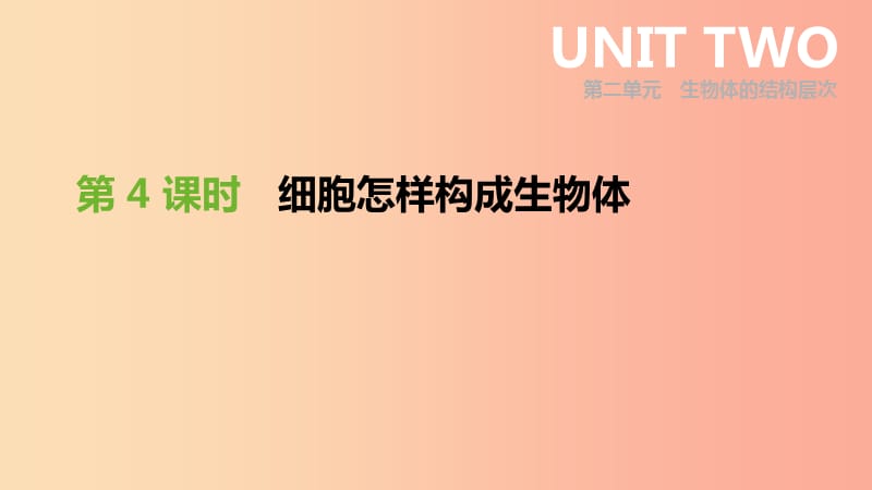 内蒙古包头市2019年中考生物第二单元生物体的结构层次第04课时细胞怎样构成生物体复习课件.ppt_第1页