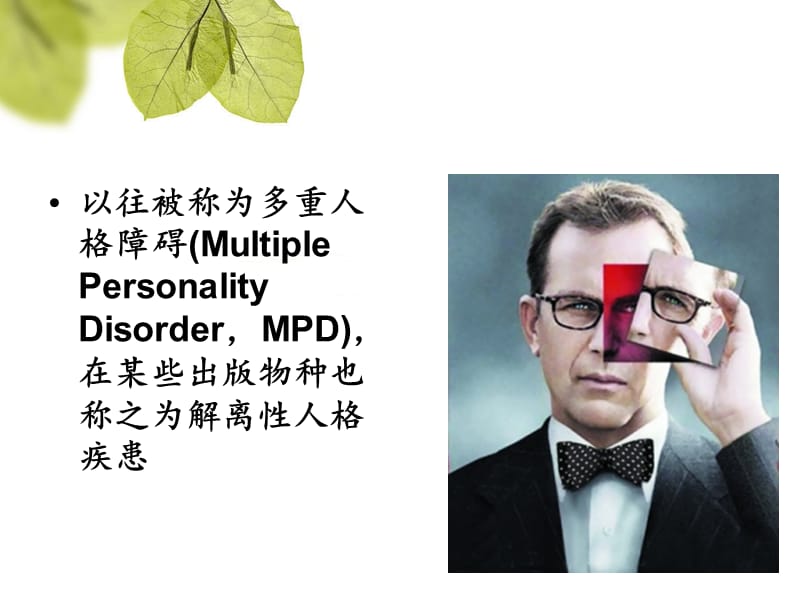 分离性身份识别障碍.ppt_第2页