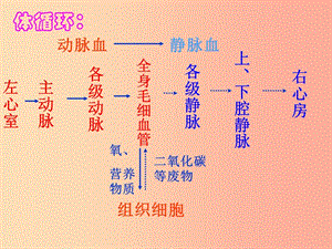 吉林省七年級生物下冊 4.4.4輸血與血型課件 新人教版.ppt