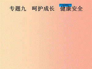 （課標(biāo)通用）甘肅省2019年中考道德與法治總復(fù)習(xí) 專題9 呵護(hù)成長 健康安全課件.ppt