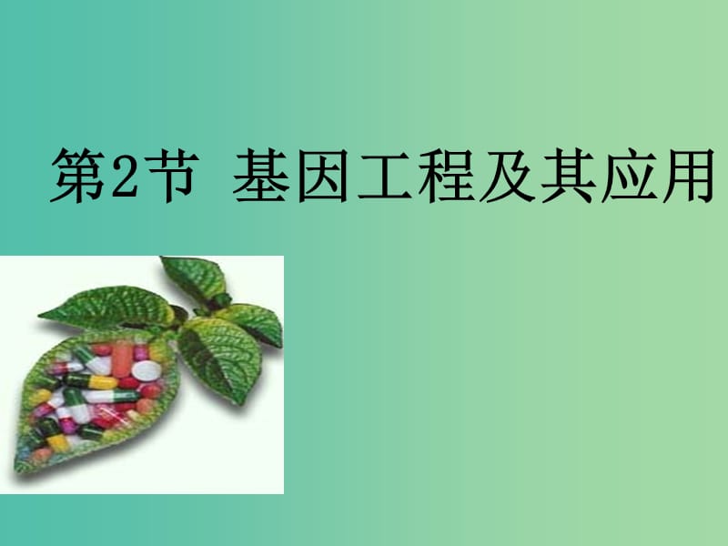 高中生物 第六章 從雜交育種到基因工程 第02節(jié) 基因工程及其應(yīng)用課件 新人教版必修2.ppt_第1頁