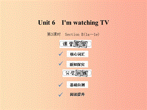 2019年春七年级英语下册 Unit 6 I’m watching TV（第3课时）Section B（1a-1e）课件 新人教版.ppt