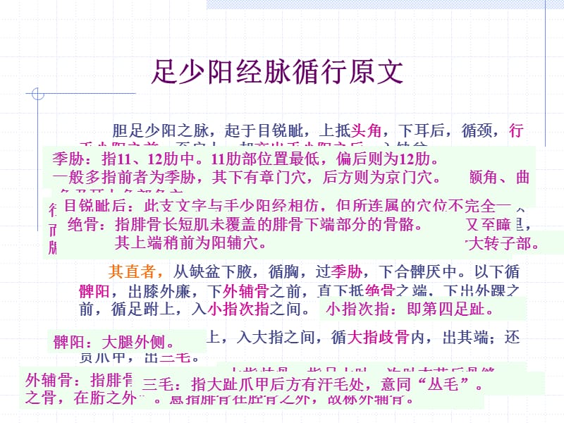 人体经络穴位图谱11胆.ppt_第2页