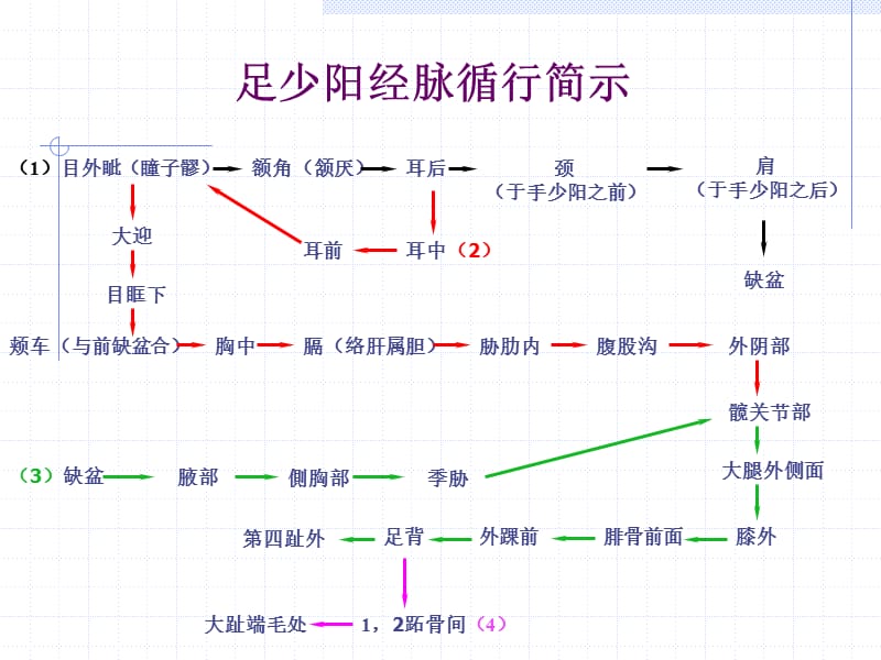 人体经络穴位图谱11胆.ppt_第3页