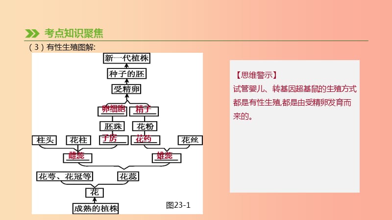 2019年中考生物专题复习六生命的延续发展和降地生活第23课时生物的生殖和发育课件新人教版.ppt_第3页