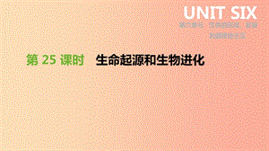 2019年中考生物 專題復(fù)習六 生命的延續(xù) 發(fā)展和健康地生活 第25課時 生命起源和生物進化課件 新人教版.ppt