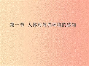 七年級生物下冊 4.6.1 人體對外界環(huán)境的感知課件2 新人教版.ppt