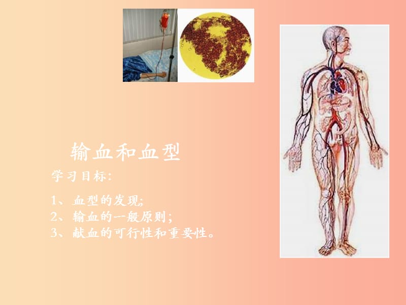 安徽省七年级生物下册 4.4.4《输血与血型》课件3 新人教版.ppt_第1页