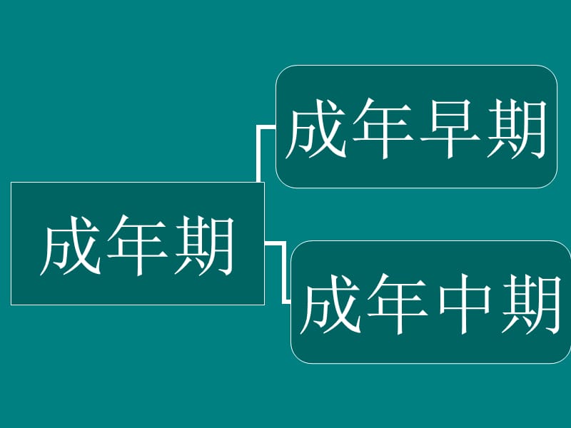 人类行为与社会环境成年期.ppt_第3页