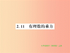 2019秋七年級(jí)數(shù)學(xué)上冊(cè) 第2章 有理數(shù) 2.11 有理數(shù)的乘方習(xí)題課件（新版）華東師大版.ppt