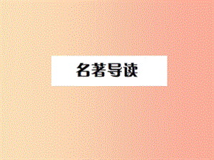 2019年九年級語文上冊 第六單元 名著導讀習題課件 新人教版.ppt