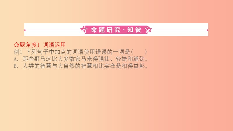 山东省2019中考语文 题型二 词语运用复习课件.ppt_第1页