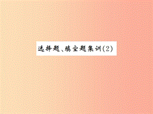 2019年中考數(shù)學(xué)復(fù)習(xí) 選擇題、填空題集訓(xùn)（2）課件.ppt