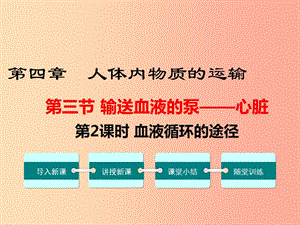 七年級(jí)生物下冊(cè) 第四單元 第四章 第三節(jié) 輸送血液的泵 心臟（第2課時(shí) 血液循環(huán)的途徑）課件 新人教版.ppt