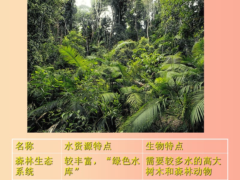 吉林省长春市七年级生物上册第一单元第二章第三节生物圈是最大的生态系统课件2 新人教版.ppt_第3页