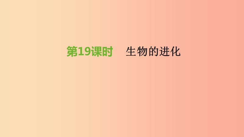 江蘇省徐州市2019年中考生物復(fù)習 第六單元 生命的延續(xù)與進化 第19課時 生物的進化課件.ppt_第1頁