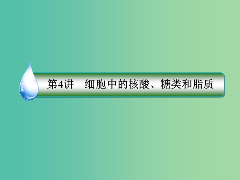 2019年高考生物一輪復(fù)習(xí) 1-1-1-4 細(xì)胞中的核酸、糖類和脂質(zhì)課件.ppt_第1頁