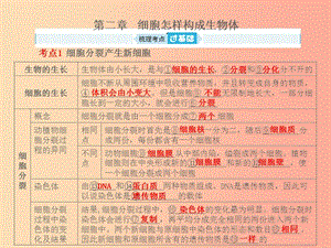 山東省青島市2019年中考生物總復(fù)習(xí) 第二單元 生物體的結(jié)構(gòu)層次 第二章 細(xì)胞怎樣構(gòu)成生物體課件.ppt