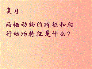 吉林省通化市八年級生物上冊 5.1.6鳥課件 新人教版.ppt