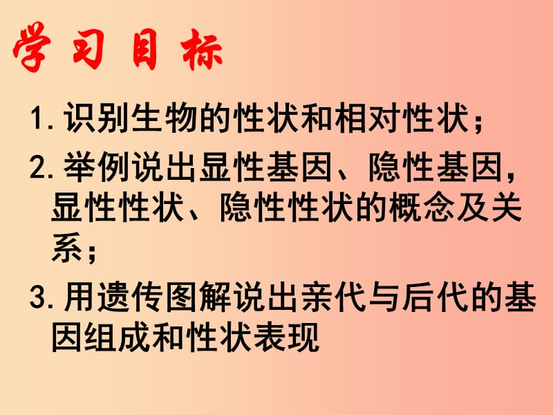 2019年八年级生物上册4.4.2性状的遗传课件1新版济南版.ppt_第3页