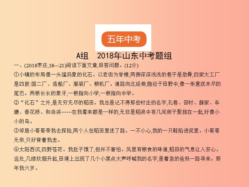 山东专用2019年中考语文总复习第二部分现代文阅读专题七散文阅读试题部分课件.ppt_第2页