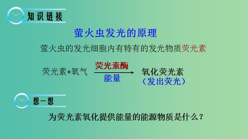 高中生物 第五章 细胞的能量供应和利用 5.2 细胞的能量通货-ATP课件 新人教版必修1.ppt_第3页