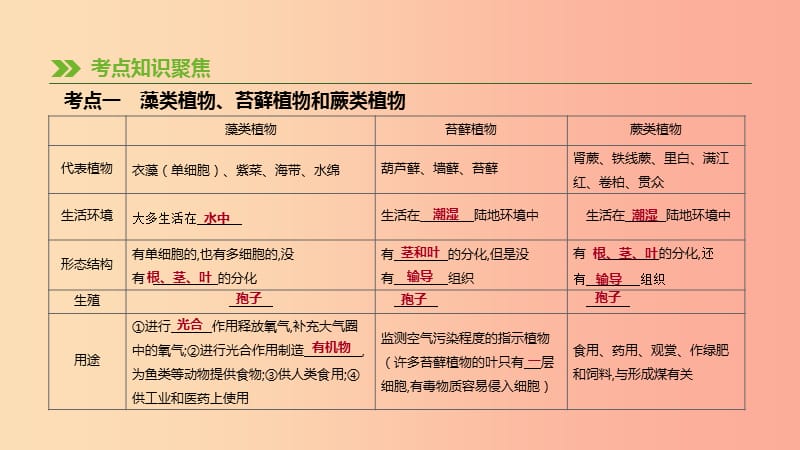 2019年中考生物专题复习三生物圈中的绿色植物第06课时生物圈中有哪些绿色植物课件新人教版.ppt_第2页