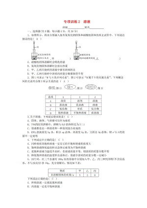 2018-2019學(xué)年度九年級化學(xué)上冊 期末專項訓(xùn)練2 溶液課時練習(xí) （新版）魯教版.doc