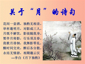 陜西省八年級語文上冊 第三單元 10《短文兩篇》記承天寺夜游課件 新人教版.ppt