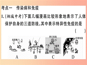 2019春八年級生物下冊 專題復(fù)習(xí)十四 健康地生活習(xí)題課件（新版）北師大版.ppt