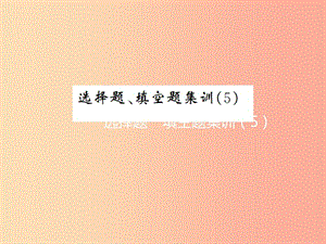 2019年中考數(shù)學(xué)復(fù)習(xí) 選擇題、填空題集訓(xùn)（5）課件.ppt