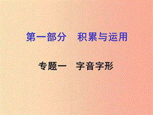 湖南省2019中考語文面對面 專題五 名著閱讀復習課件.ppt