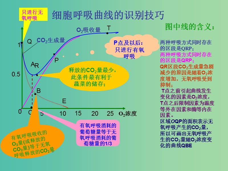 高考生物 高頻考點(diǎn)11 細(xì)胞呼吸曲線的識別技巧素材.ppt_第1頁