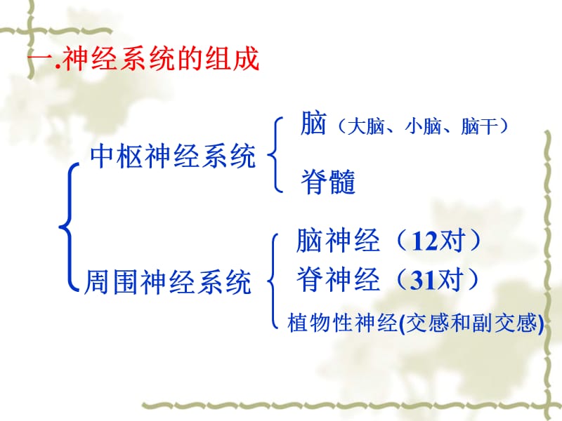 人教版教学课件高考生物一轮复习--人和高等动物的神经调节.ppt_第3页