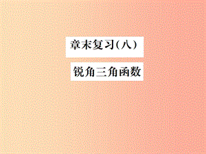 2019年秋九年級數(shù)學下冊 第二十八章 銳角三角函數(shù)章末復習（八）銳角三角函數(shù)課件 新人教版.ppt