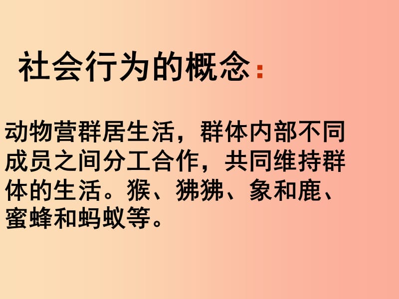 吉林省八年级生物上册 5.2.3 社会行为课件 新人教版.ppt_第2页